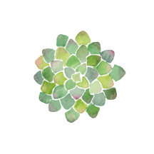 Succulent & Blush Roses Baby Shower Suite