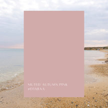 Muted Autumn Pink