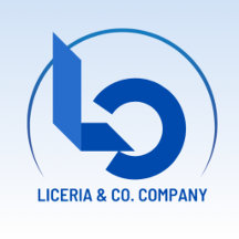 Elegant Blue Business Logo    Custom Professional 