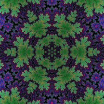 The Enchanted Fern Wheel