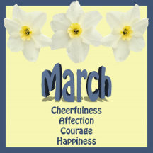 March Birth Month Flower the Daffodil