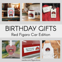 Birthday Gifts Red Figaro Car Edition