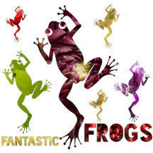 Piyal’s Premium Collection