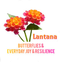 Lantana, Butterflies & Everyday Joy & Resilience