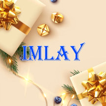Imlay_Name T-Shirt