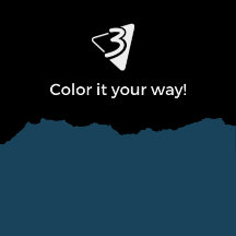 Blue and Black Pillows - Living Room