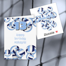 Volleyball birthday celebration navy & light blue