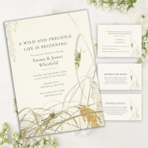 Wild & Precious Collection