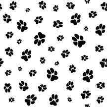 Paw prints