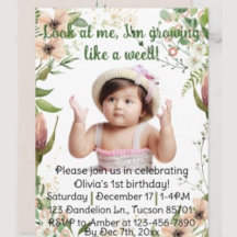 Growing like a weed, Baby's girl's first birthday.