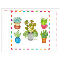 Floral: Three Succulents