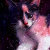 Rebel_Kitty