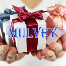Mulvey_Name T-Shirt