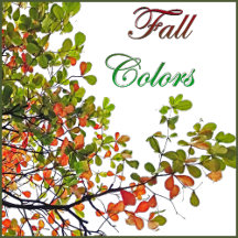 Party Supplies 'Fall Foliage'/'Fall Colors'