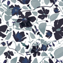 Clematis Vine Elegant Blue Gray Flowers