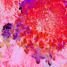 Elegant Purple and Orange Limelight Hydrangea