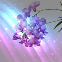 Tropical floral purple orchid wedding 