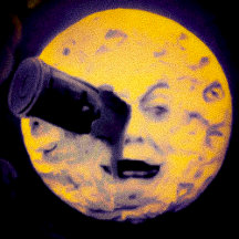 The Halloween Collection