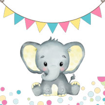 Baby Shower Party Set, Elephant Party Theme