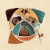 Petsthetic