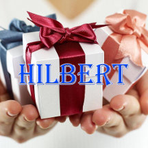 Hilbert_Name T-Shirt