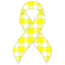 Bladder Cancer Awareness Plaid