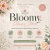 BloomyClassicStore