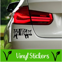 Car Vinyl Stickers