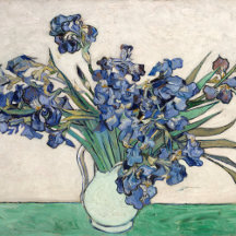 Vincent van Gogh Irises 1890 Fine Art by GalleryHD