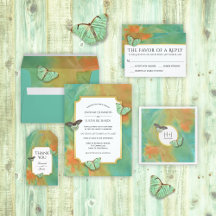 Butterflies and Southwest Colors