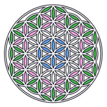 Travel Mugs & Thermal Tumblers