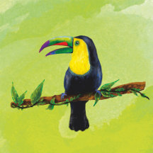 Exotische Vögel - Tucan - Aquarell
