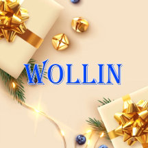 Wollin_Name T-Shirt