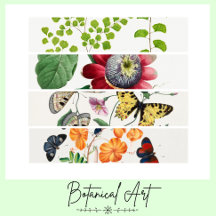 Beautiful Botanical Art Posters 