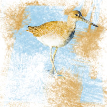 Willet Coastal Bird Beach Artwork