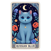 Cat and Kitten Cards