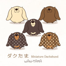 ダクたま <Miniature Dachshund>