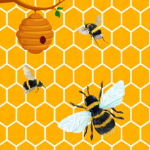 Honeybee Honeycomb