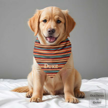 Western Serape Stripe Pattern Collection