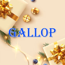 Gallop_Name T-Shirt