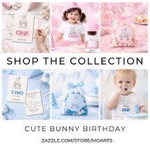 Our Little Bunny Birthday Party Invites & Supplies