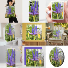 Purple Iris Flower Outdoor Garden Nature Photo