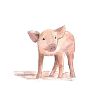 Farm animals watercolor tiles Farmhouse collection