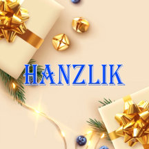 Hanzlik_Name T-Shirt