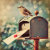 The_Mailbox