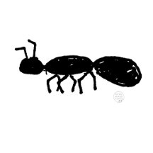 Badly Drawn Ant Gifts