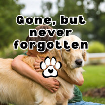Pet Sympathy Cards for Loss of a Beloved Companion