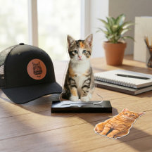 Purr-sonalized Cat Favorites