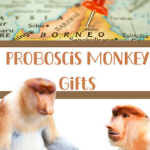 Endangered Animals - Proboscis Monkey Gifts