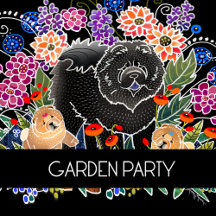 BINDI GARDEN PARTY 